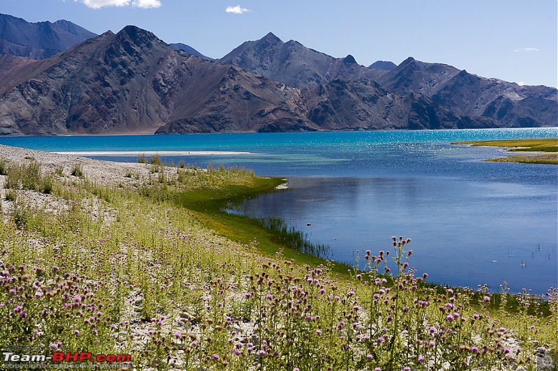 Reflecting on Driving Addictions - Bangalore to Spiti and Changthang-42.jpg