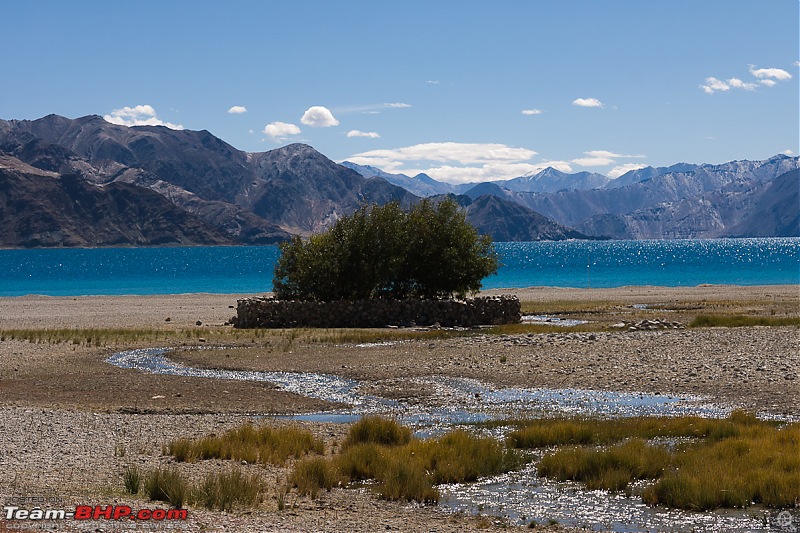 Reflecting on Driving Addictions - Bangalore to Spiti and Changthang-54.jpg