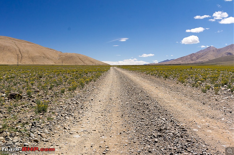 Reflecting on Driving Addictions - Bangalore to Spiti and Changthang-63.jpg