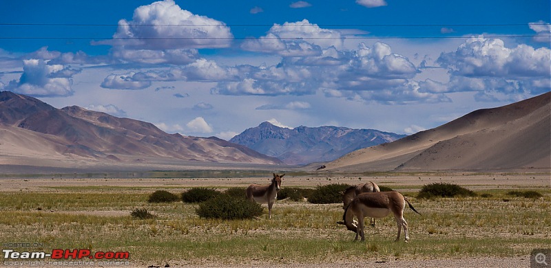 Reflecting on Driving Addictions - Bangalore to Spiti and Changthang-113.jpg