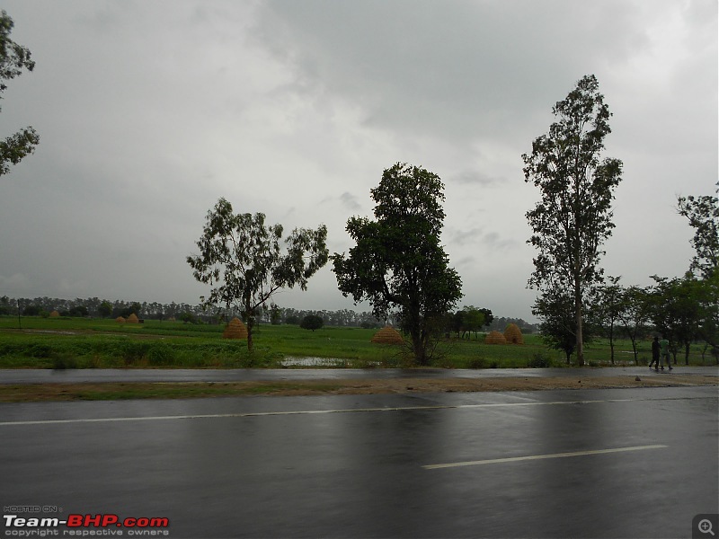 A 5 day road trip to Dalhousie/Khajjiar-rain-swept.jpg