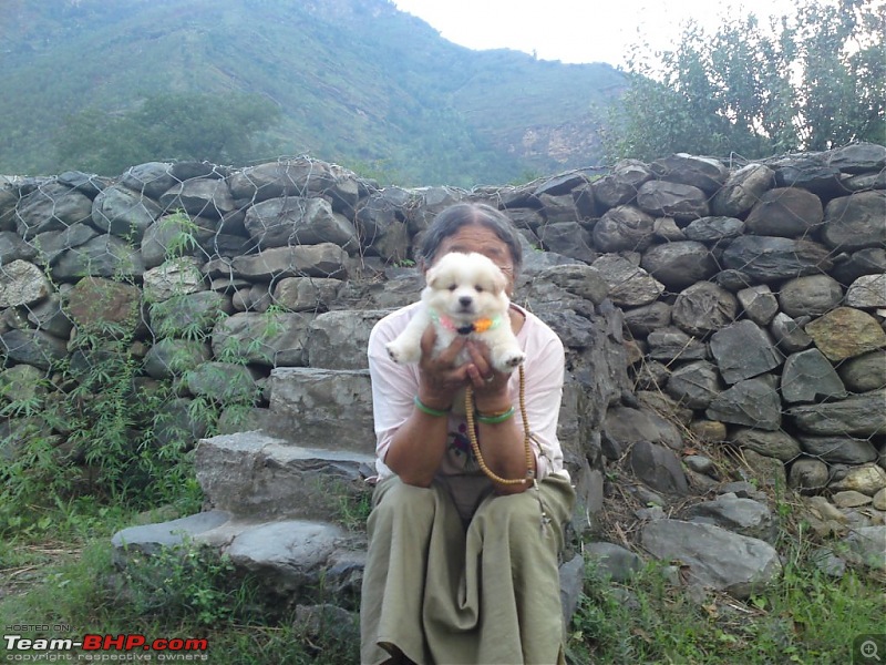 Lightning strikes twice! 3-Day Delhi-Manali trip twice in a month (Skoda Yeti)-dsc00093.jpg