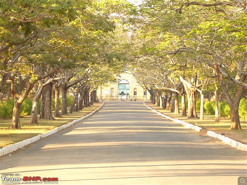 'Xing'ing around ! - Melkote and Srirangapatna, a day trip.-64.jpg