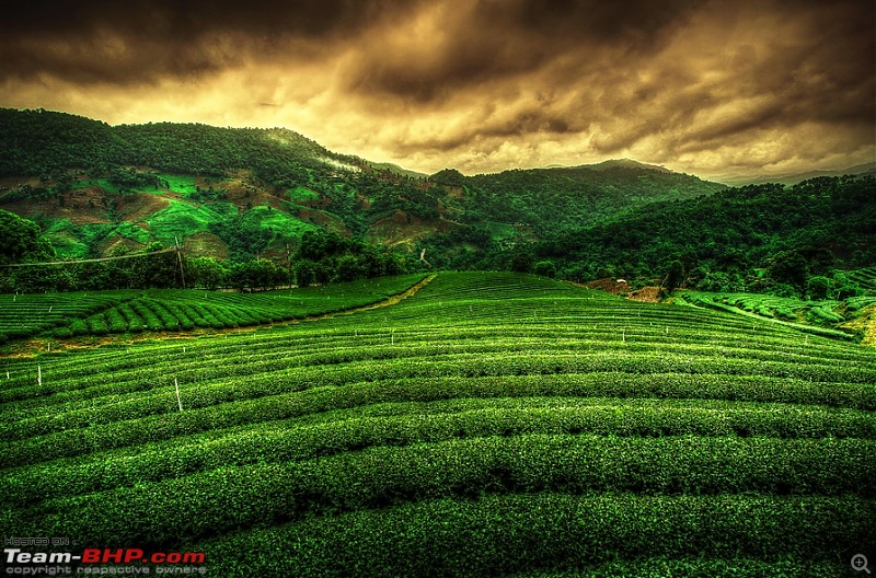 Making the most of my Sabbatical. EDIT : Thread Closed due to plagiarism.-tea-garden-hdr2.jpg