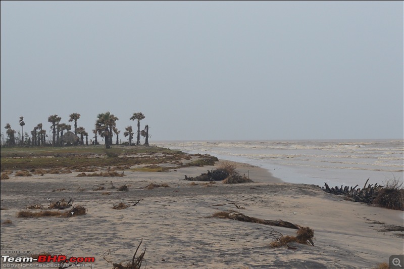 Konaseema - The land of enchanting beauty-_dsc0264.jpg