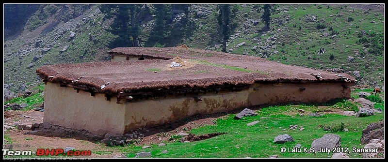 Cliffhanger Himachal, Hidden Kashmir and a search for Mughal Ghosts-dsc_7318.jpg