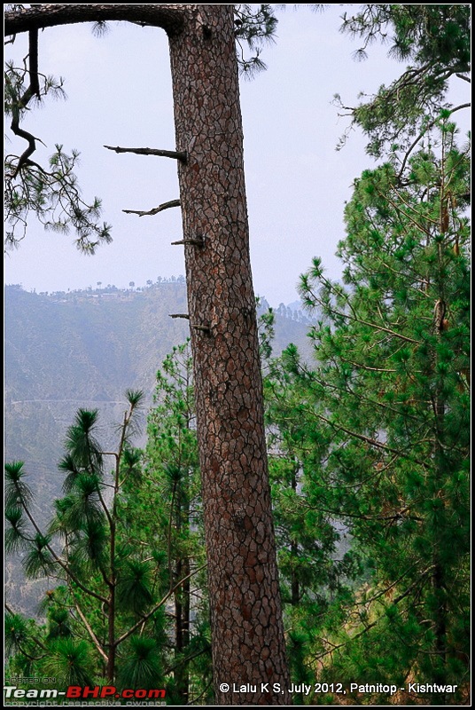 Cliffhanger Himachal, Hidden Kashmir and a search for Mughal Ghosts-dsc_7335.jpg