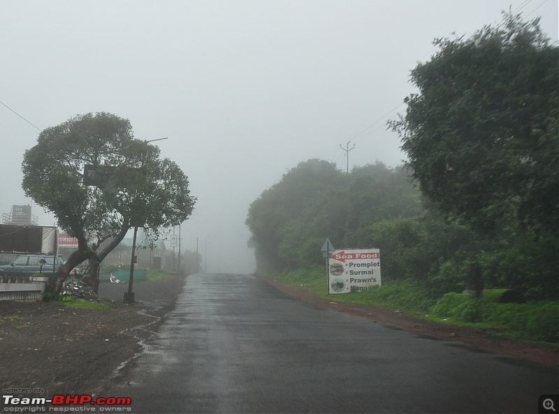 Chasing the fog and the waterfalls - A weekend trip to Mahabaleshwar and Tapola-dsc_0279.jpg