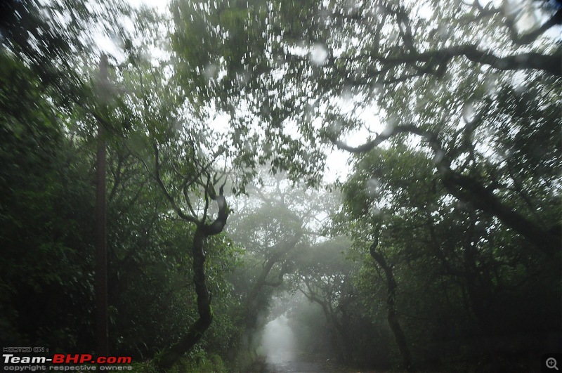 Chasing the fog and the waterfalls - A weekend trip to Mahabaleshwar and Tapola-dsc_0292.jpg