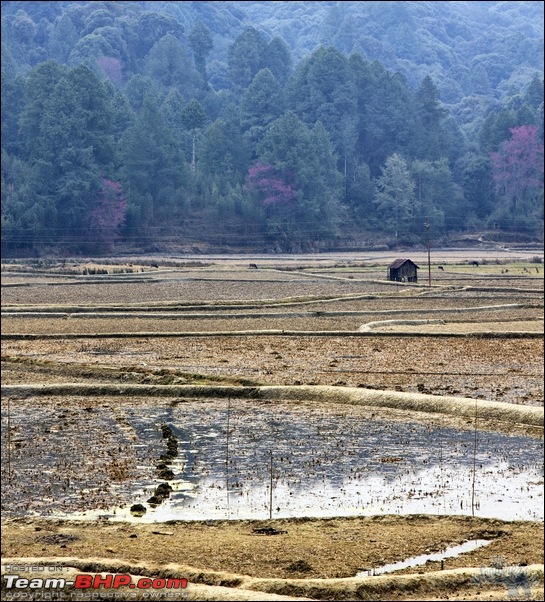 Safari 2.2 VTT-TMT -4500 km self-drive Central Arunachal exploratory expedition, 2012-img_6336.jpg