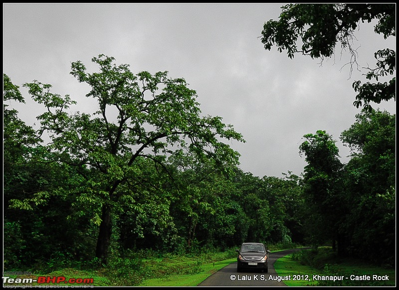 Dudh Sagar Falls, Goa - A Weekend Getaway from Bangalore-dsc_0792.jpg