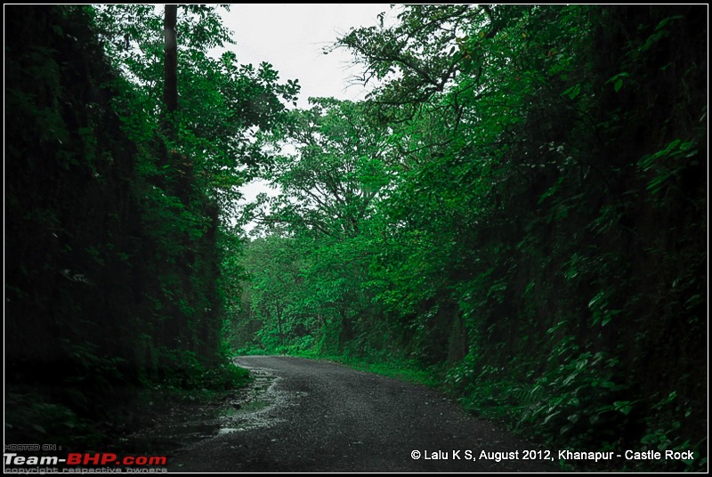 Dudh Sagar Falls, Goa - A Weekend Getaway from Bangalore-dsc_0796.jpg