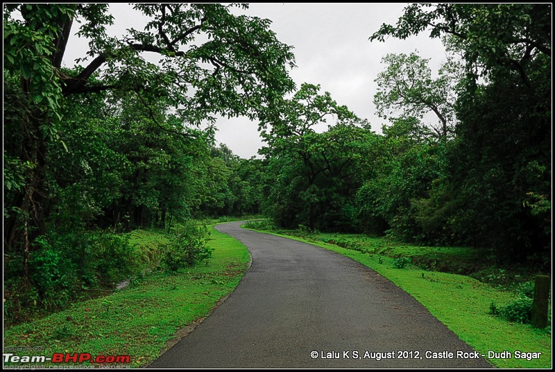 Dudh Sagar Falls, Goa - A Weekend Getaway from Bangalore-dsc_0852.jpg