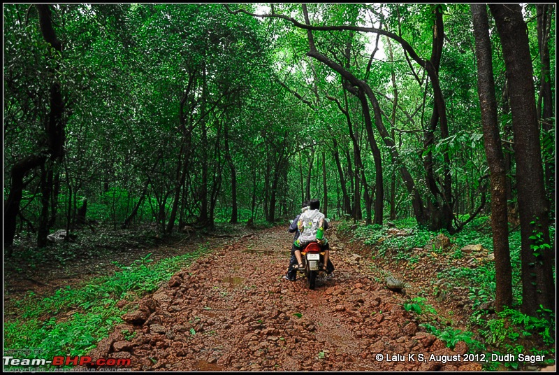 Dudh Sagar Falls, Goa - A Weekend Getaway from Bangalore-dsc_0930.jpg