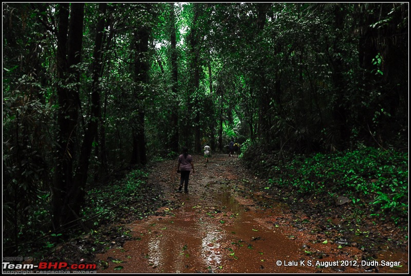 Dudh Sagar Falls, Goa - A Weekend Getaway from Bangalore-dsc_0951.jpg