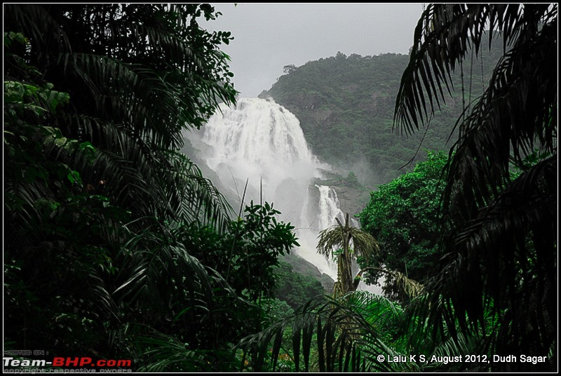 Dudh Sagar Falls, Goa - A Weekend Getaway from Bangalore-dsc_0956.jpg