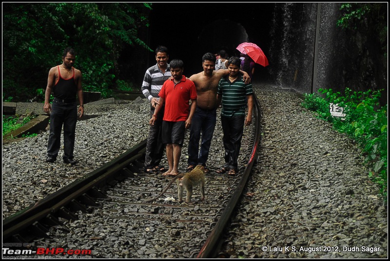 Dudh Sagar Falls, Goa - A Weekend Getaway from Bangalore-dsc_0978.jpg