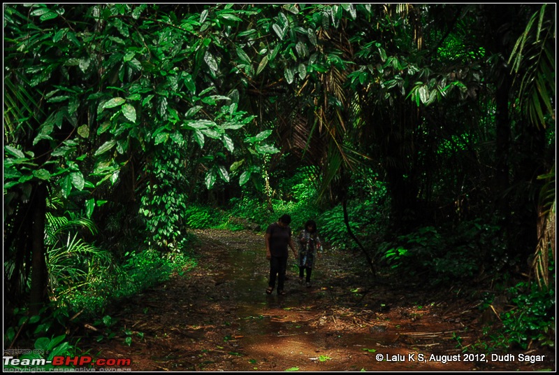 Dudh Sagar Falls, Goa - A Weekend Getaway from Bangalore-dsc_1088.jpg