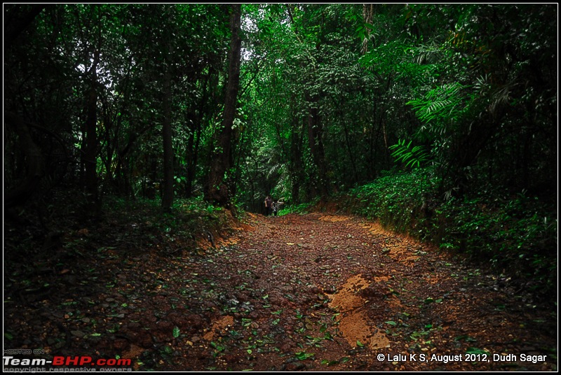 Dudh Sagar Falls, Goa - A Weekend Getaway from Bangalore-dsc_1101.jpg