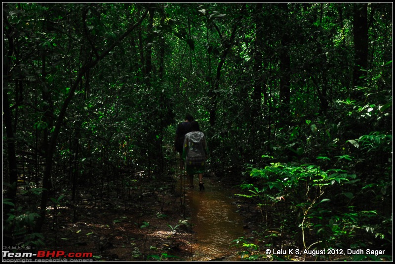 Dudh Sagar Falls, Goa - A Weekend Getaway from Bangalore-dsc_1102.jpg