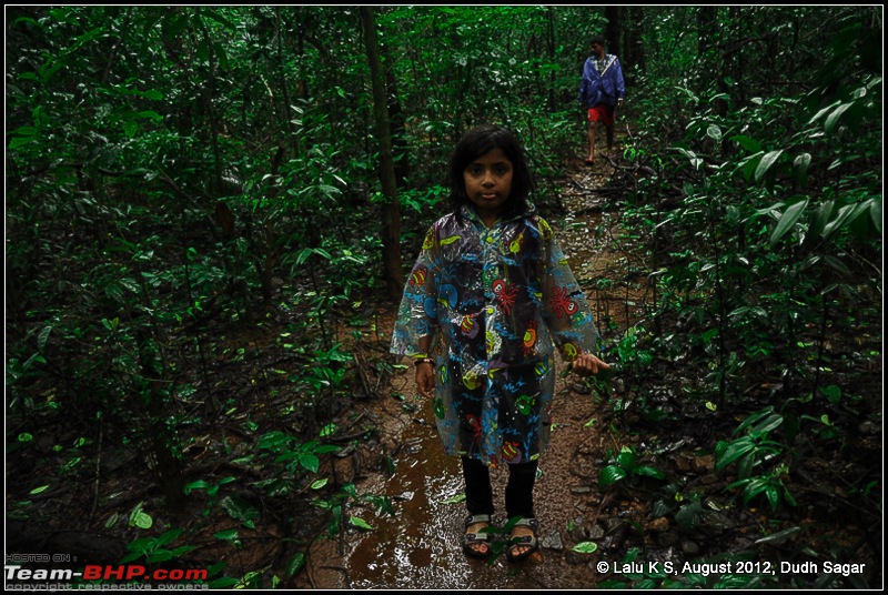 Dudh Sagar Falls, Goa - A Weekend Getaway from Bangalore-dsc_1105.jpg