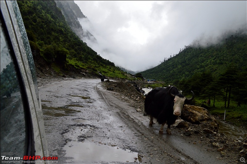 Northeast Himalayan Escape - Bhutan and Tawang-_dsc0147.jpg