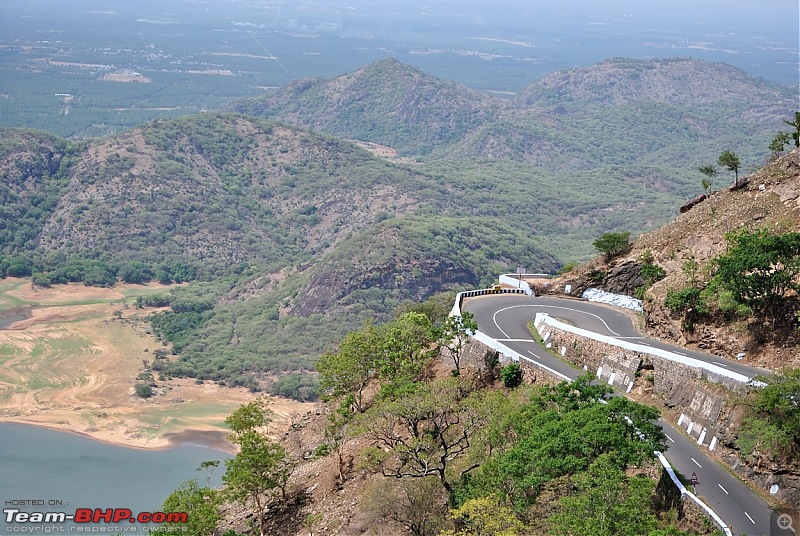 Valparai - The green carpet with great flora & fauna-valparai411.jpg