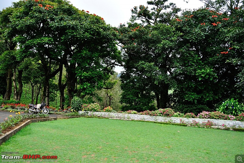 Valparai - The green carpet with great flora & fauna-valparai421.jpg