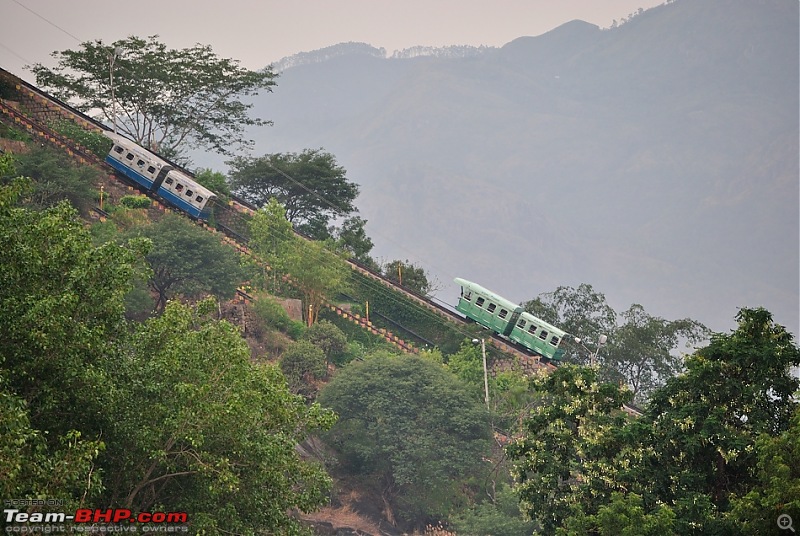 Valparai - The green carpet with great flora & fauna-valparaipalani438.jpg