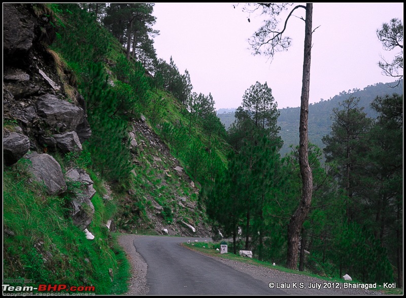 Cliffhanger Himachal, Hidden Kashmir and a search for Mughal Ghosts-dsc_8674.jpg