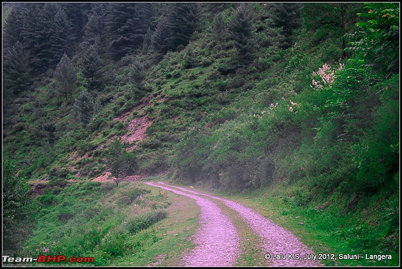 Cliffhanger Himachal, Hidden Kashmir and a search for Mughal Ghosts-dsc_8792.jpg