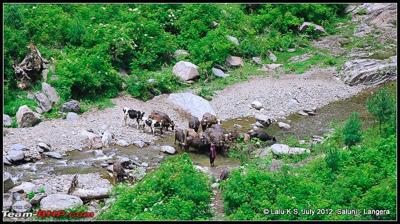 Cliffhanger Himachal, Hidden Kashmir and a search for Mughal Ghosts-dsc_8823.jpg