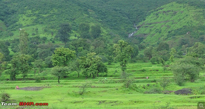 An unplanned long-weekend trip to Bhandardara-Igatpuri-dsc_0182.jpg