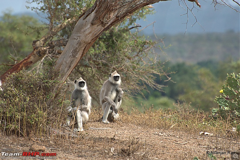 Exploring the Great Indian Outdoors-dsc_6828.jpg