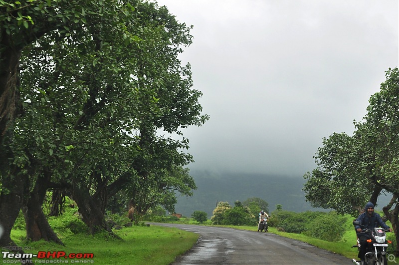 An unplanned long-weekend trip to Bhandardara-Igatpuri-dsc_0198.jpg