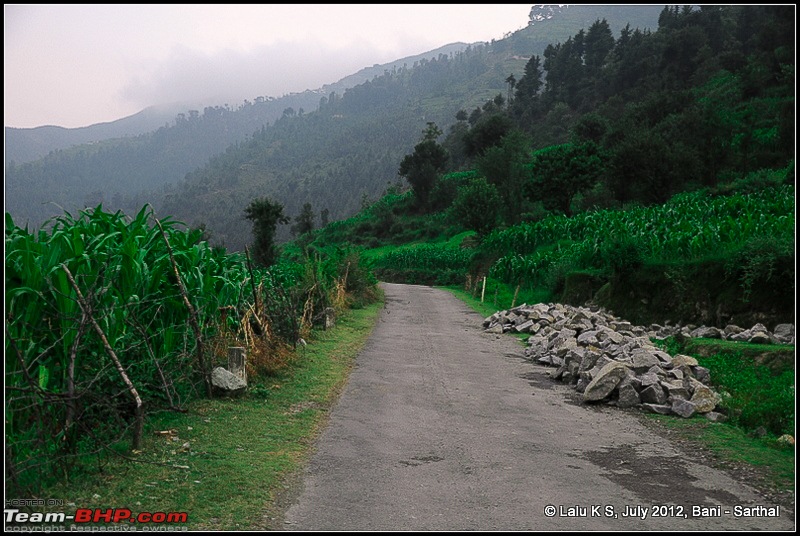 Cliffhanger Himachal, Hidden Kashmir and a search for Mughal Ghosts-dsc_9137.jpg