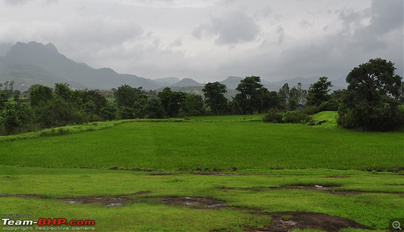 An unplanned long-weekend trip to Bhandardara-Igatpuri-dsc_0407.jpg