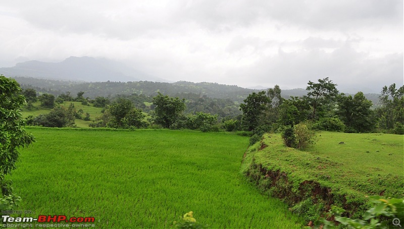 An unplanned long-weekend trip to Bhandardara-Igatpuri-dsc_0423.jpg