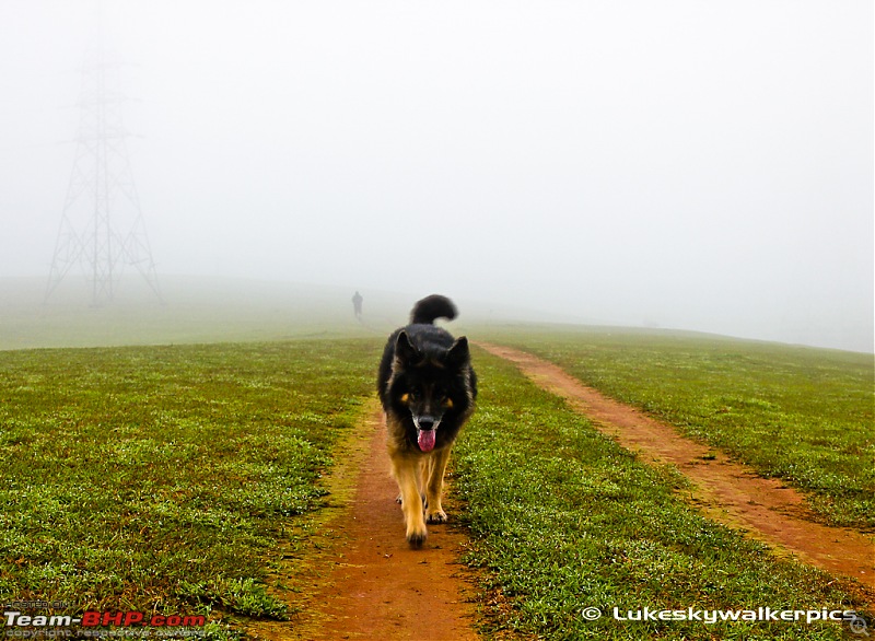 Sakleshpur - Been there yet ? (A drive in the rains)-img_6933.jpg