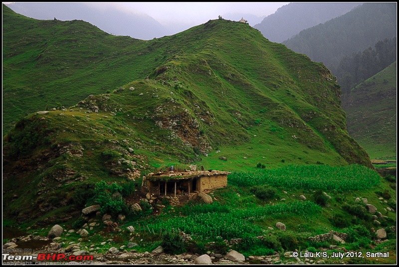 Cliffhanger Himachal, Hidden Kashmir and a search for Mughal Ghosts-dsc_9230.jpg