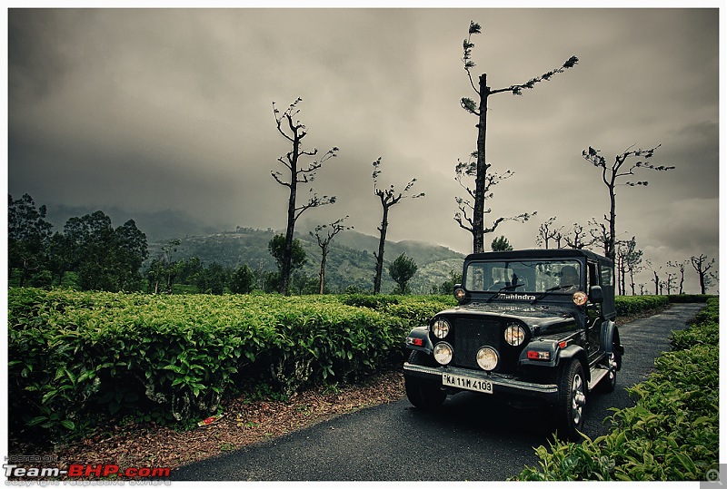 Stunning Valparai-img_0416a-1-wbe.jpg