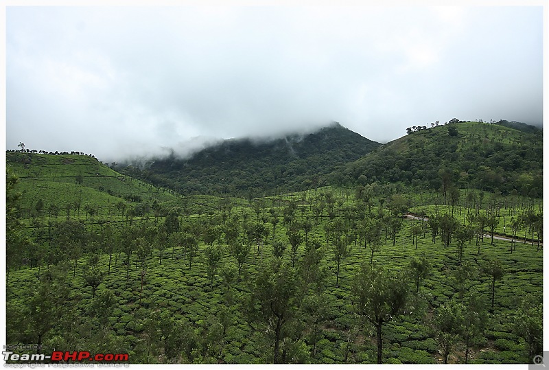 Stunning Valparai-img_0432a-web.jpg