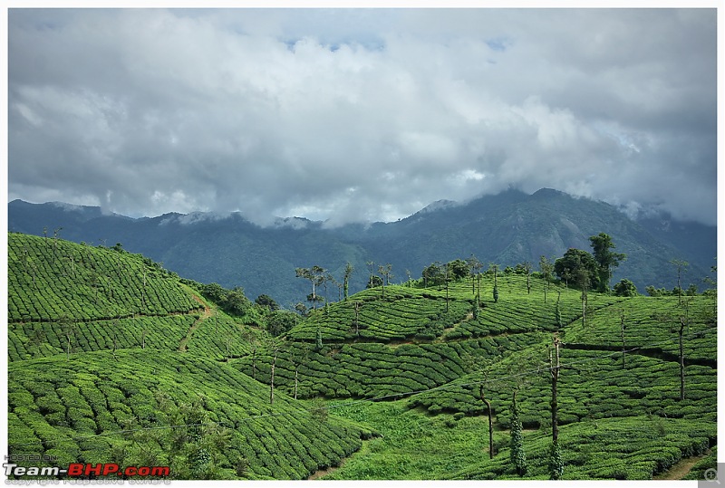 Stunning Valparai-img_0561a-web.jpg