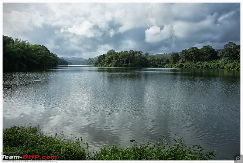 Stunning Valparai-img_0596a-web.jpg