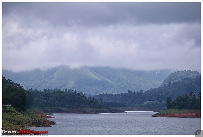 Stunning Valparai-img_5654a-web.jpg