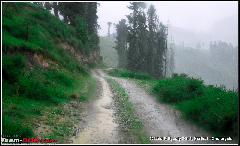 Cliffhanger Himachal, Hidden Kashmir and a search for Mughal Ghosts-dsc_9345.jpg