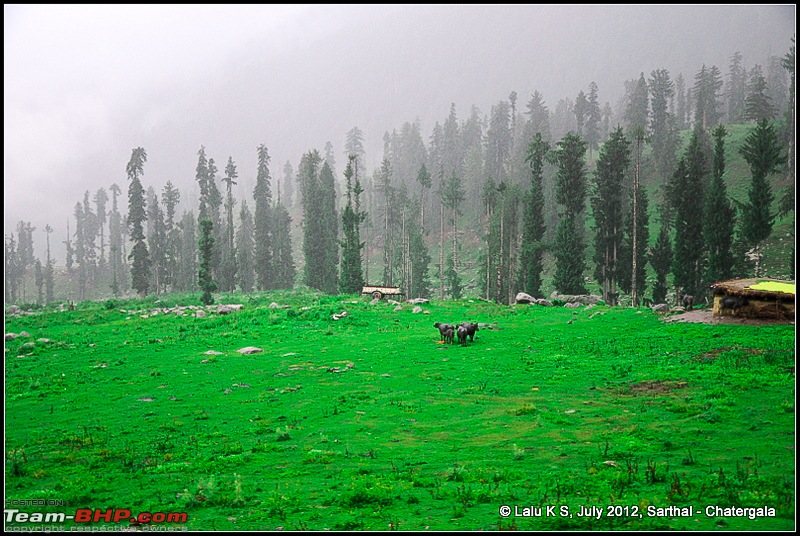 Cliffhanger Himachal, Hidden Kashmir and a search for Mughal Ghosts-dsc_9347.jpg