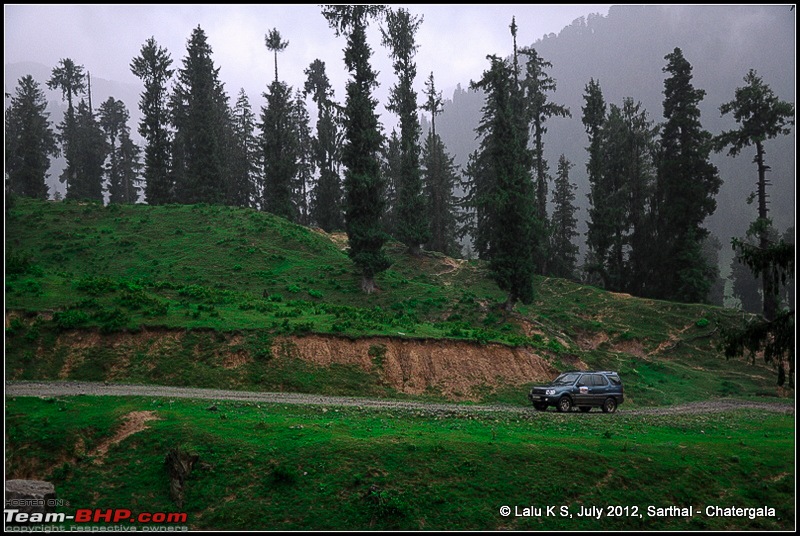 Cliffhanger Himachal, Hidden Kashmir and a search for Mughal Ghosts-dsc_9352.jpg