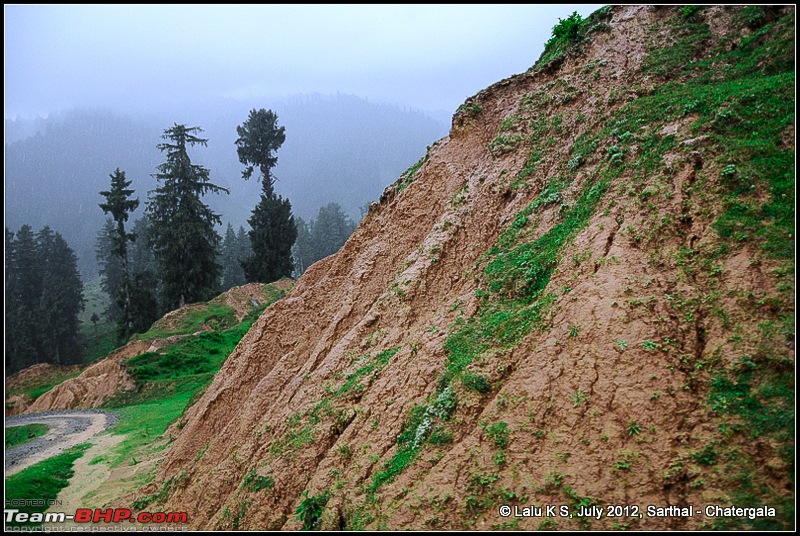 Cliffhanger Himachal, Hidden Kashmir and a search for Mughal Ghosts-dsc_9353.jpg