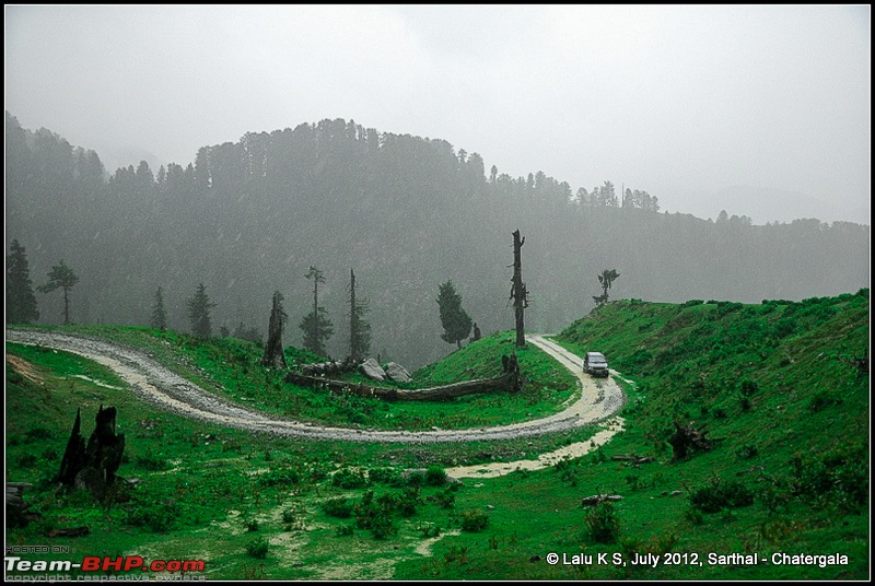 Cliffhanger Himachal, Hidden Kashmir and a search for Mughal Ghosts-dsc_9355.jpg